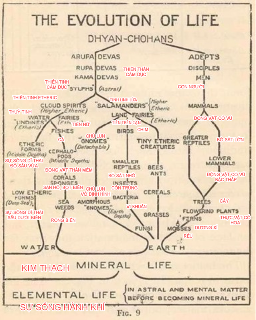 A diagram of a tree Description automatically generated