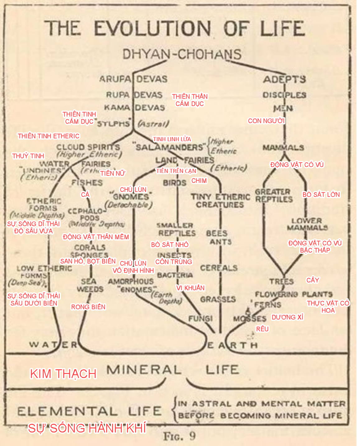 A diagram of a tree

Description automatically generated