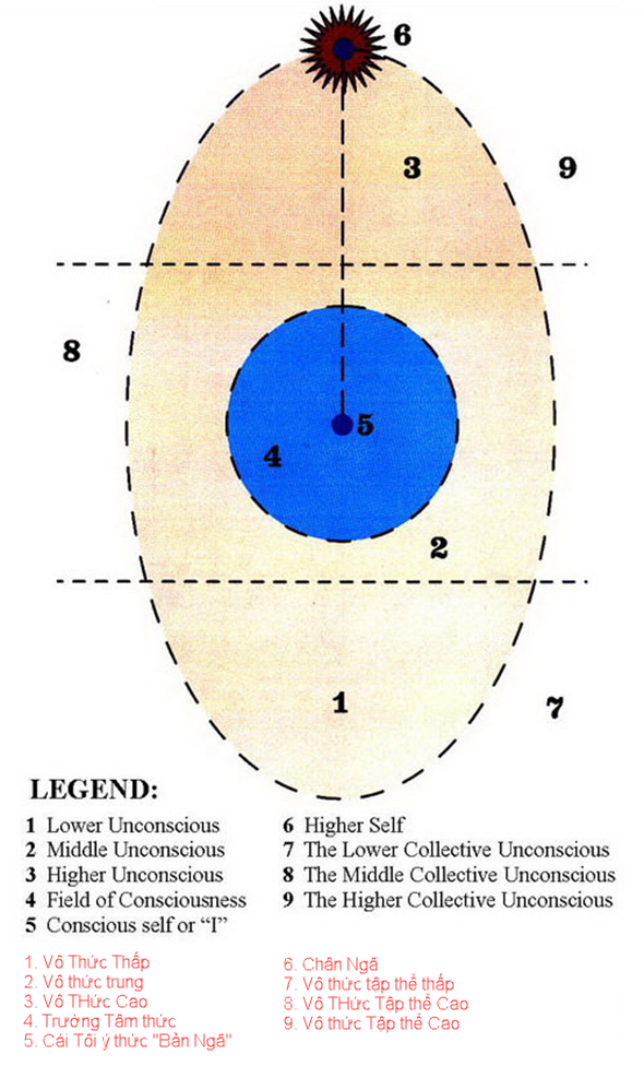 A diagram of a cell

AI-generated content may be incorrect.